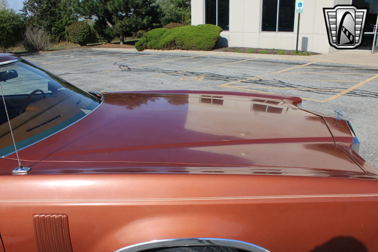 1979 Ford Thunderbird 82