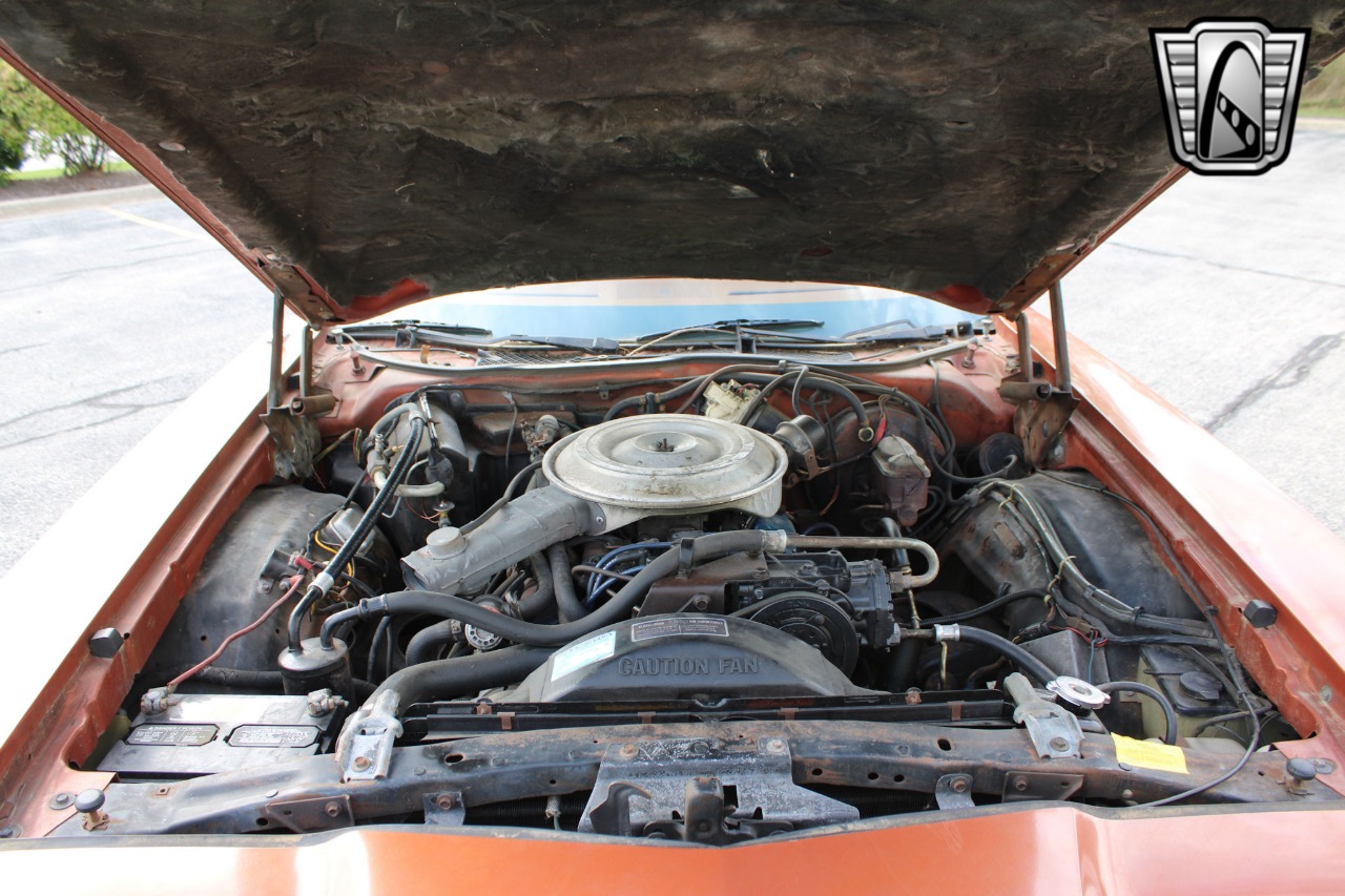 1979 Ford Thunderbird 26