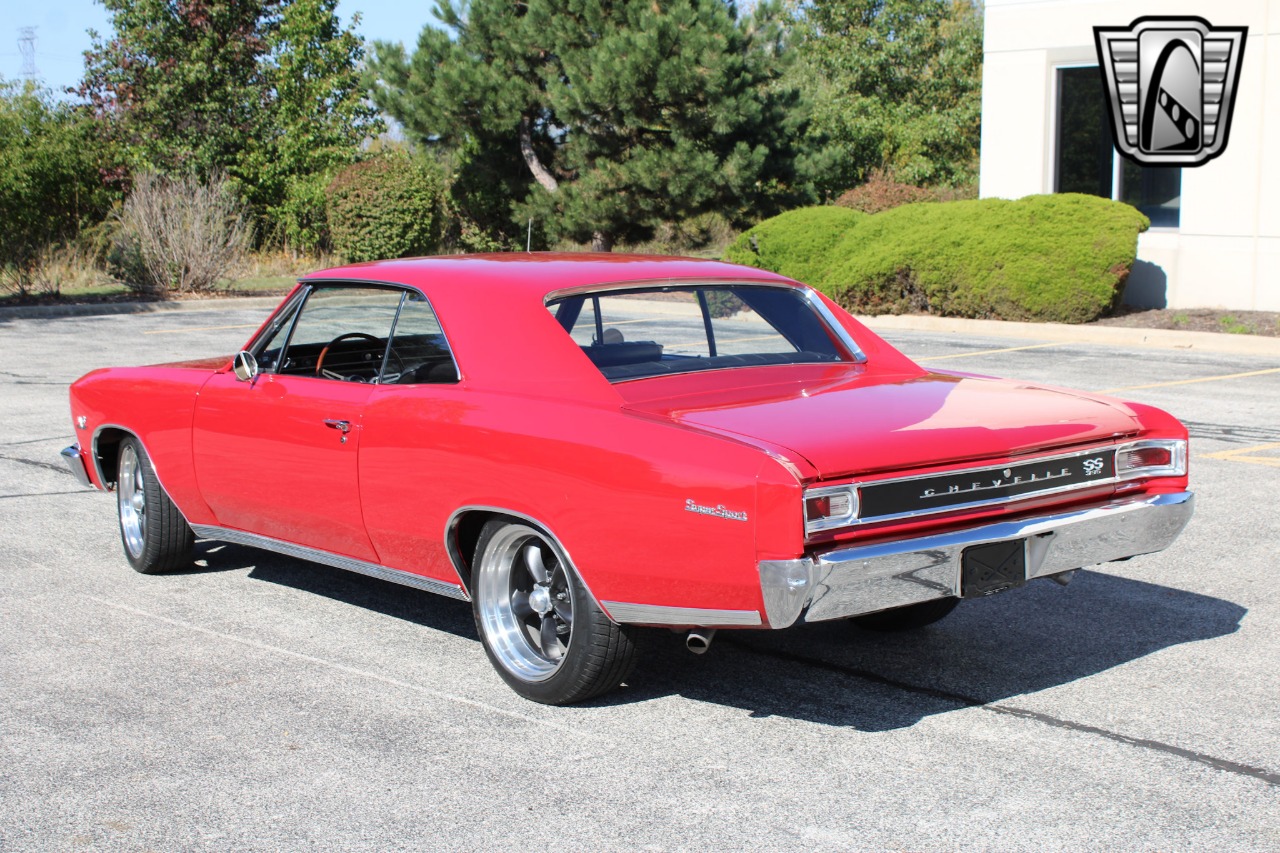 1966 Chevrolet Chevelle 6