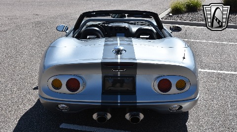 1999 Shelby Series 1 image 10