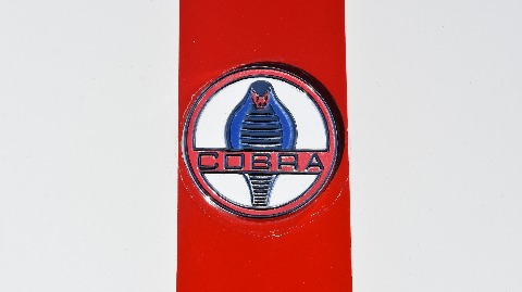 1994 Excalibur Cobra image 112
