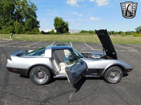 1978 Chevrolet Corvette image 90