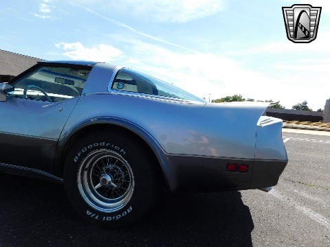 1978 Chevrolet Corvette image 13