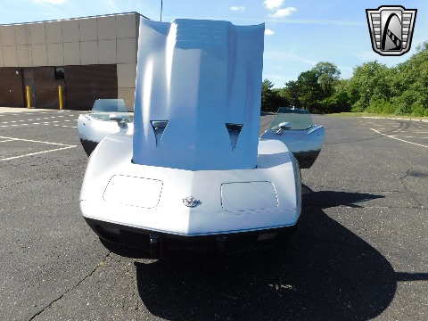 1978 Chevrolet Corvette image 95