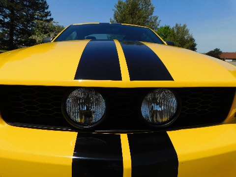 2005 Ford Mustang image 48