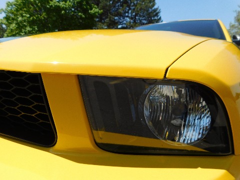 2005 Ford Mustang image 51