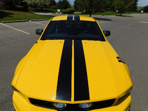 2005 Ford Mustang image 53