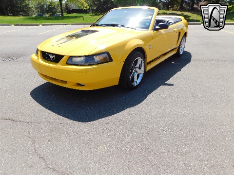 1999 Ford Mustang image 3