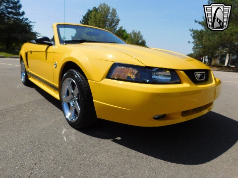 1999 Ford Mustang image 29