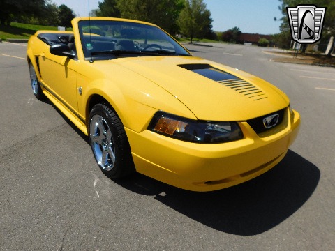 1999 Ford Mustang image 30