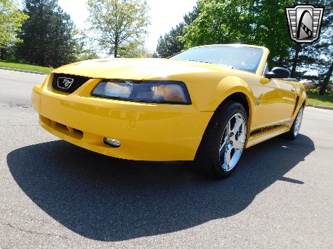 1999 Ford Mustang image 5