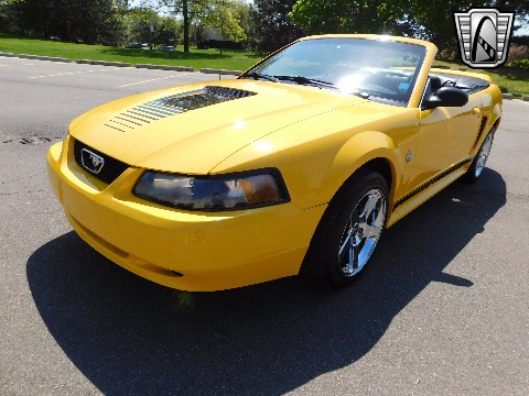1999 Ford Mustang image 6