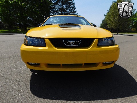 1999 Ford Mustang image 32