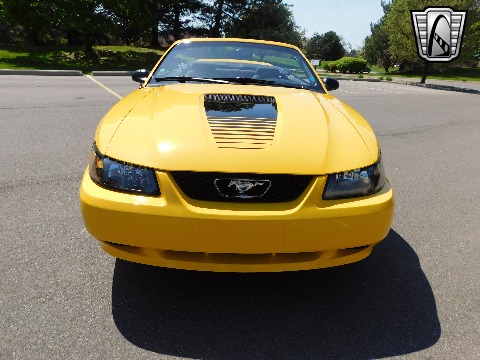 1999 Ford Mustang image 33