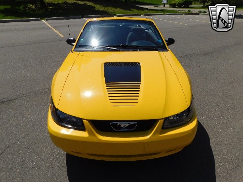 1999 Ford Mustang image 34