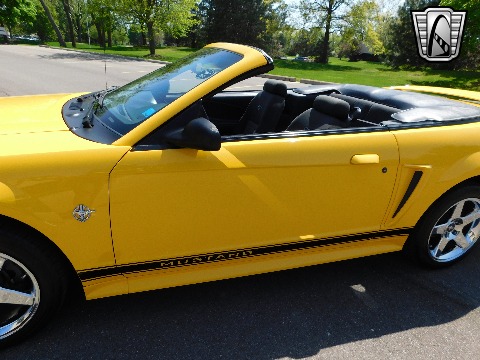 1999 Ford Mustang image 12