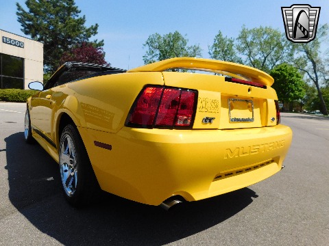 1999 Ford Mustang image 14