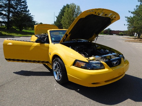 1999 Ford Mustang image 95