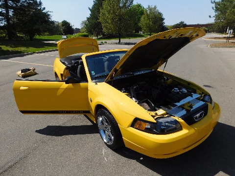 1999 Ford Mustang image 96