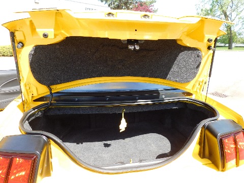 1999 Ford Mustang image 122