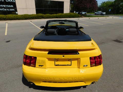 1999 Ford Mustang image 19