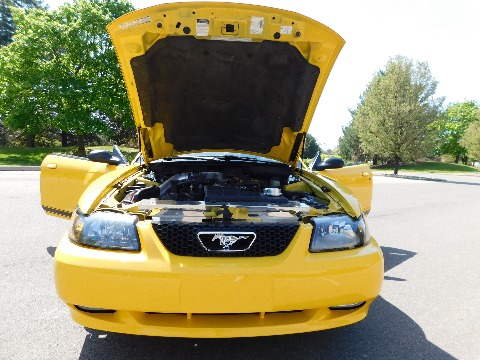 1999 Ford Mustang image 97