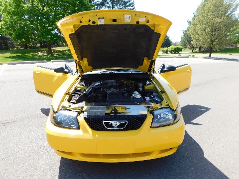 1999 Ford Mustang image 98