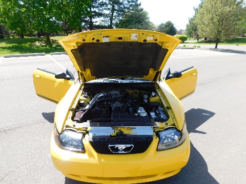 1999 Ford Mustang image 99