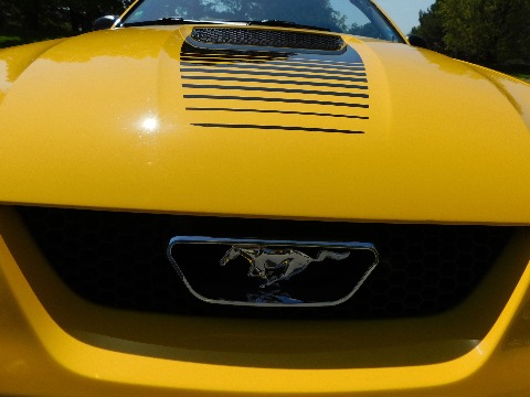 1999 Ford Mustang image 48