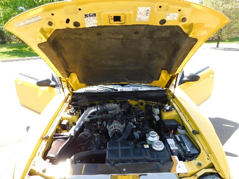 1999 Ford Mustang image 100