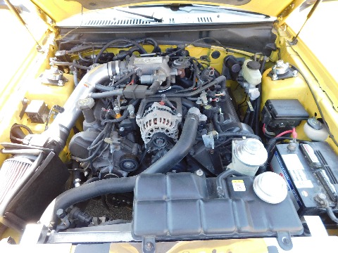 1999 Ford Mustang image 101