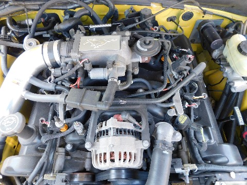 1999 Ford Mustang image 102