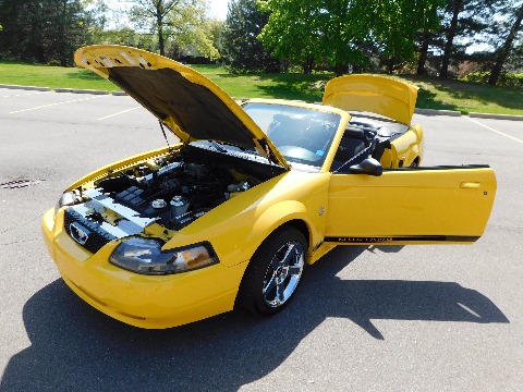1999 Ford Mustang image 78