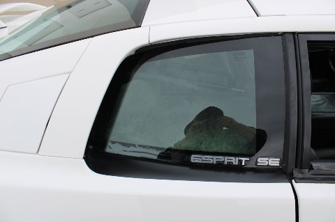 1990 Lotus Esprit image 49