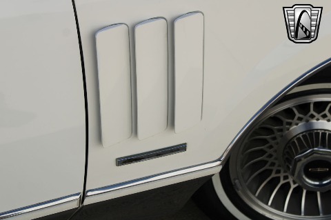 1981 Lincoln Continental image 49