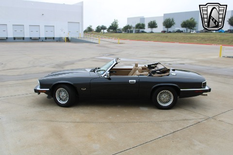 1993 Jaguar XJS image 6