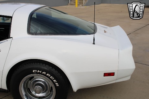 1981 Chevrolet Corvette image 30