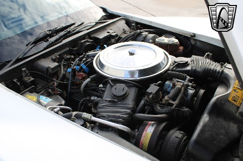 1981 Chevrolet Corvette image 82