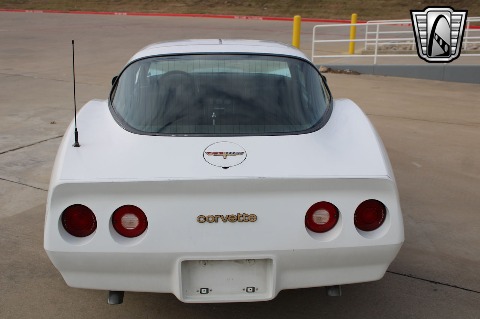 1981 Chevrolet Corvette image 31