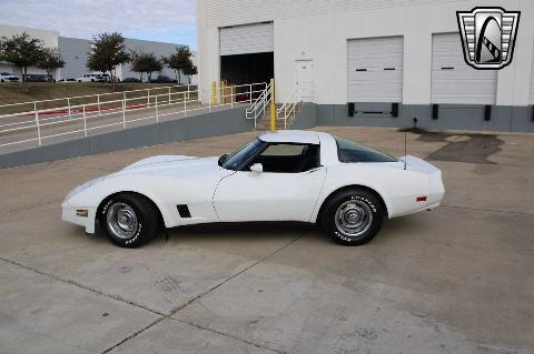 1981 Chevrolet Corvette image 6