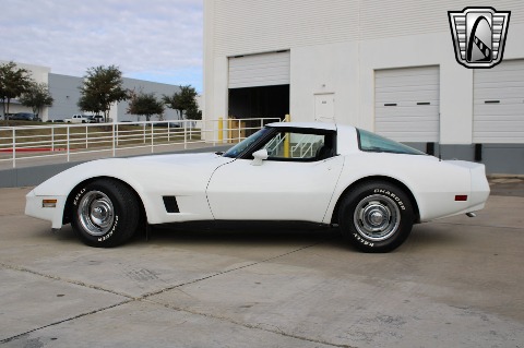 1981 Chevrolet Corvette image 8