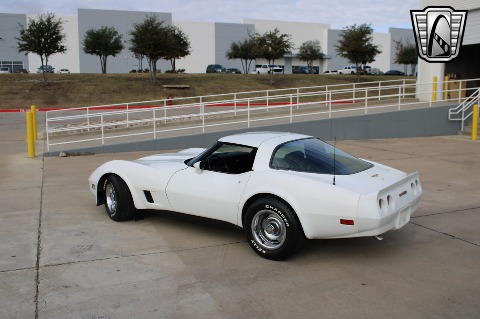 1981 Chevrolet Corvette image 9