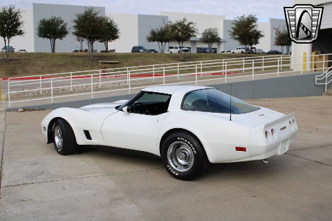 1981 Chevrolet Corvette image 10