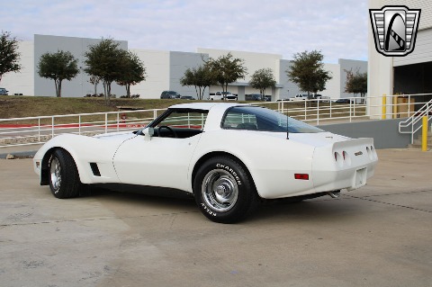 1981 Chevrolet Corvette image 11