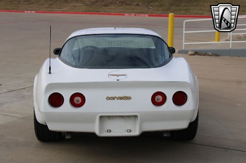 1981 Chevrolet Corvette image 13