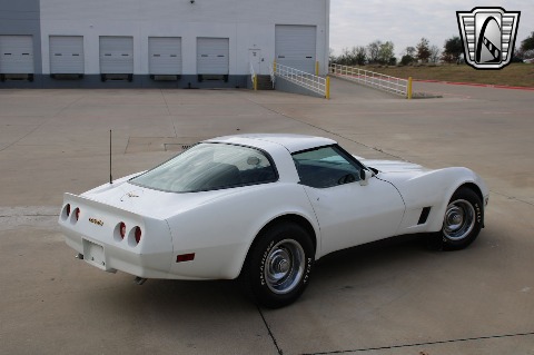 1981 Chevrolet Corvette image 15