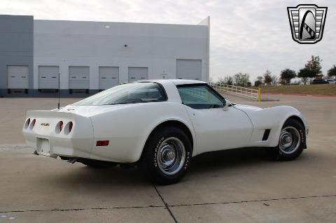 1981 Chevrolet Corvette image 17