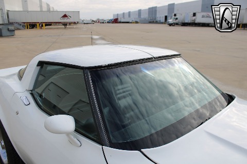 1981 Chevrolet Corvette image 43