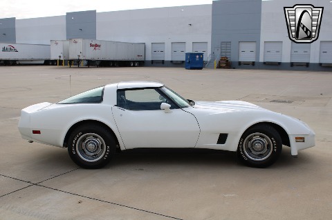 1981 Chevrolet Corvette image 19