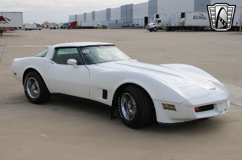 1981 Chevrolet Corvette image 22